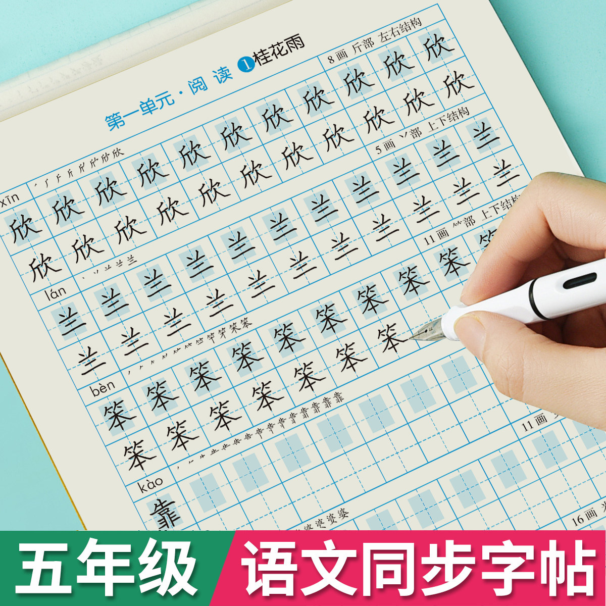 五年级上册语文字帖人教版字头本图片