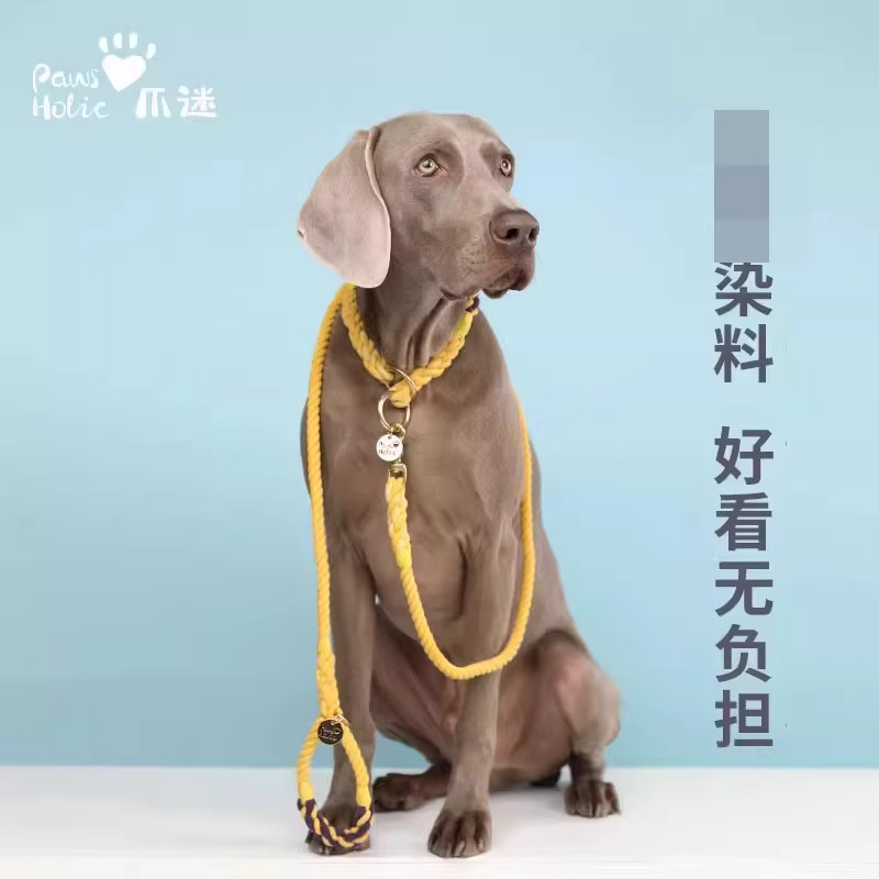 PawsHolic爪迷狗狗P型牵引绳防爆冲小中大型犬威玛杜宾纯手工制作