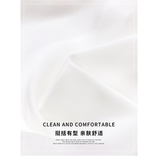 白色V领缎面衬衫 高级上衣上班服白衬衣女春 职场穿搭通勤内搭西装