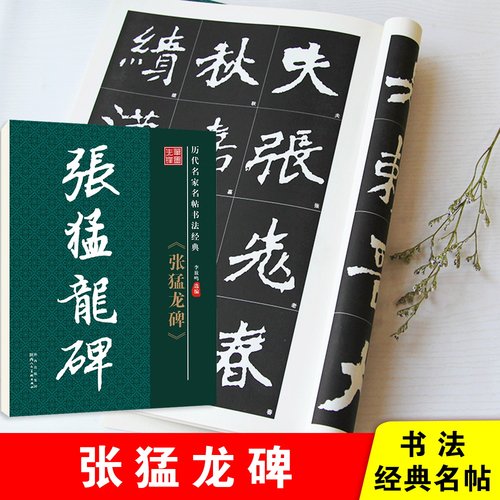 华夏字慧张猛龙碑简体毛笔字帖
