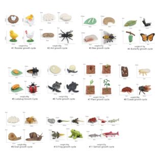 儿童益智仿真海洋动物玩具模型动物植物生长过程蝴蝶生长周期