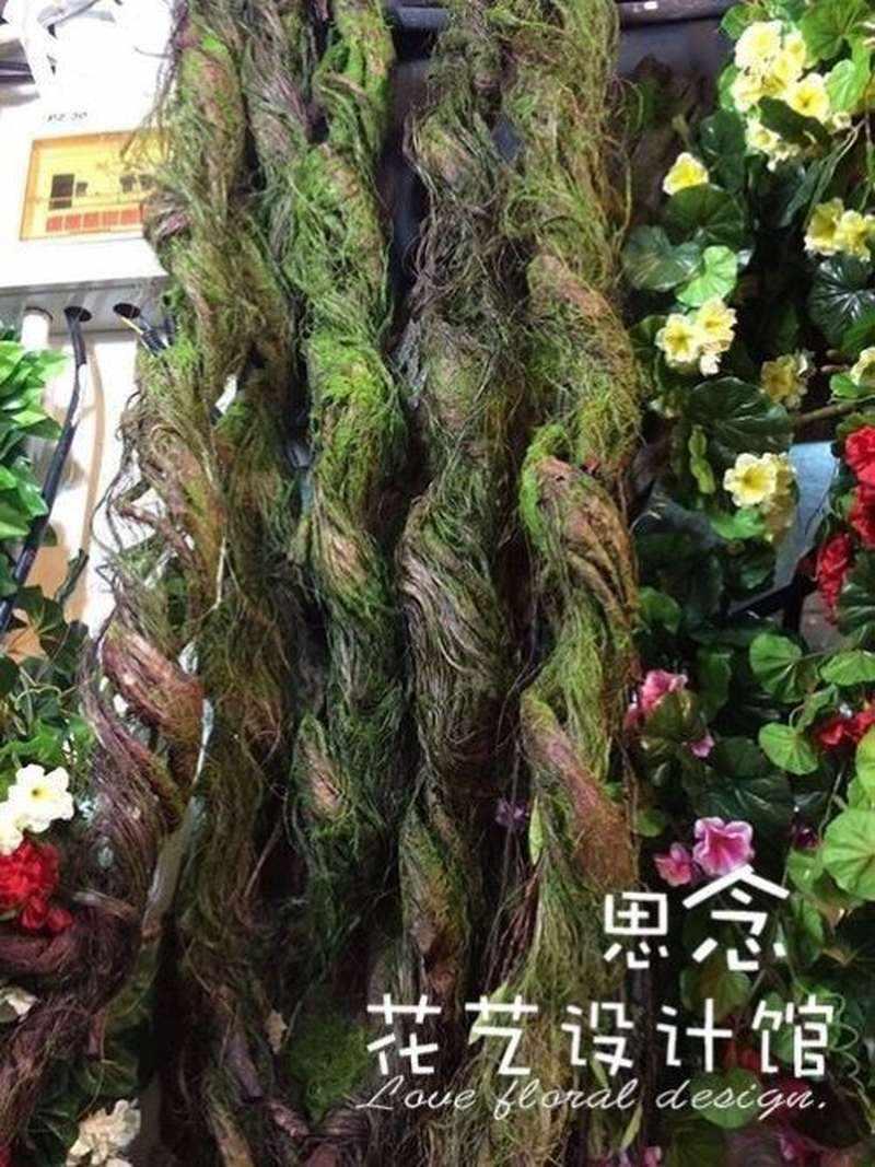 仿真树枝泡沫苔藓藤条 枯藤树藤造型干花藤蔓植物造景壁挂装