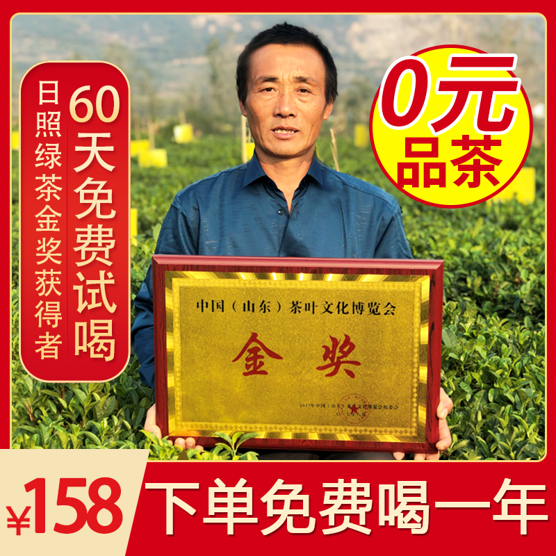 山东日照绿茶2024新茶袋装绿茶