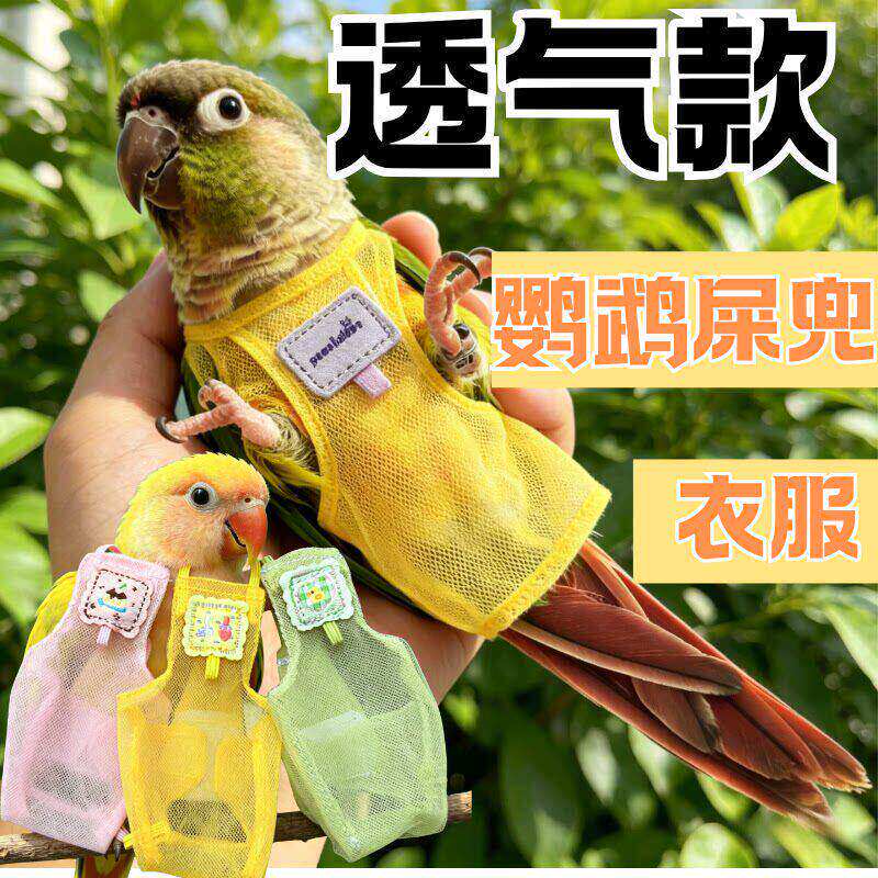 鹦鹉尿不湿屎兜鹦鹉拉屎神器一次性衣服按扣外出屎兜垫片透气专用