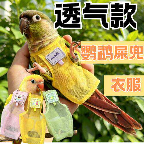 鹦鹉尿不湿屎兜鹦鹉拉屎神器一次性衣服按扣外出屎兜垫片透气专用