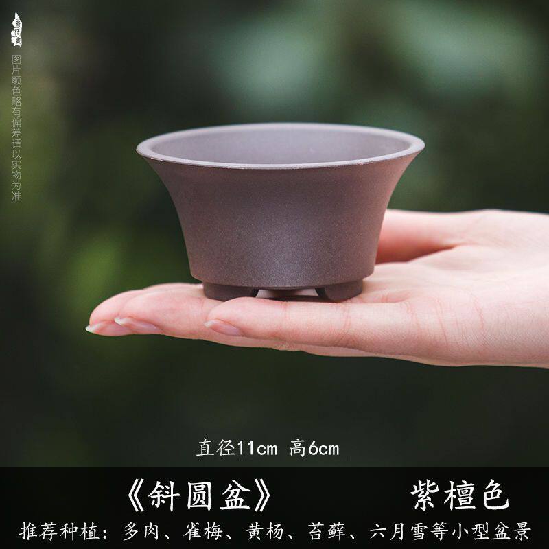 多肉花盆掌中宝菖蒲盆植物小桩微型盆栽盆景圆形加厚树脂花盆