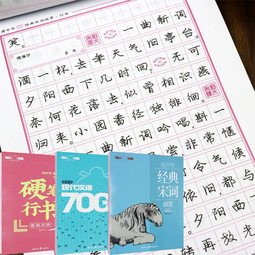 庞中华行书成人硬笔临摹钢笔字帖