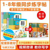 一年级字帖楷书二三四五六七八年级上册下册小学生语文同步练字帖部编人教版 墨点1 8年级儿童初中学生正楷硬笔描红荆霄鹏楷书字帖