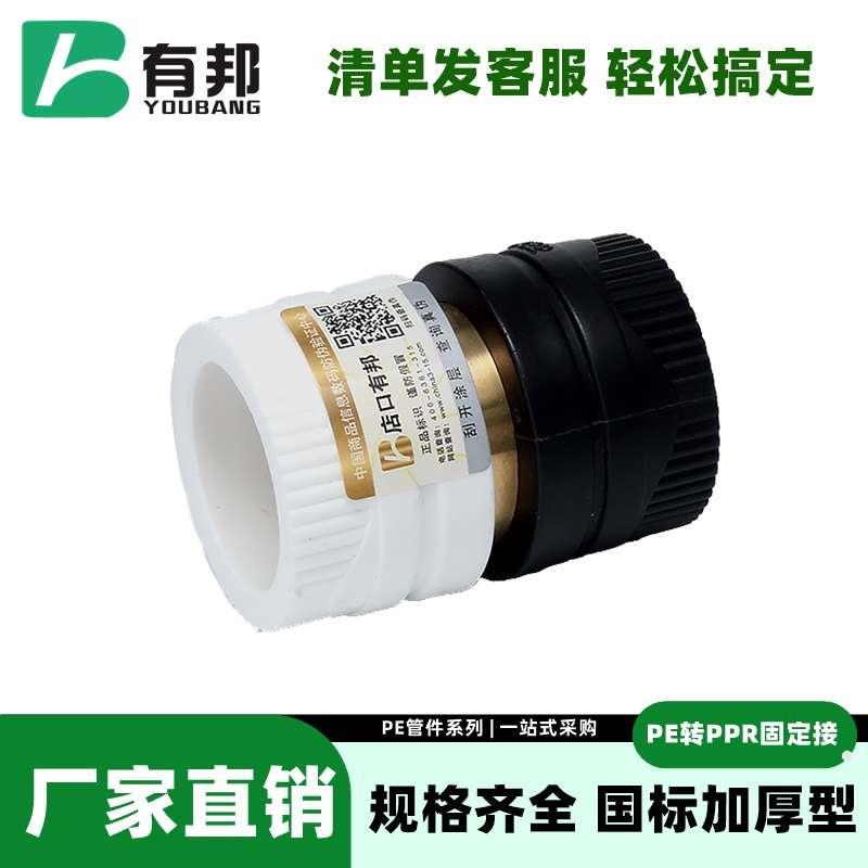 PE转PPR铜转换接头25双熔20热熔32PB63水管配件管材PRET不锈钢4分