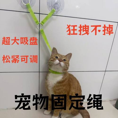 猫咪洗澡固定器宠物吸盘