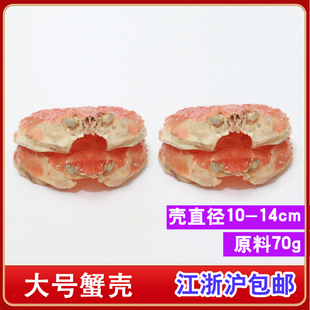 新鲜冷冻大号雪蟹壳帝王蟹壳直径10-20cm芝士烧烤装饰靓丽空壳子