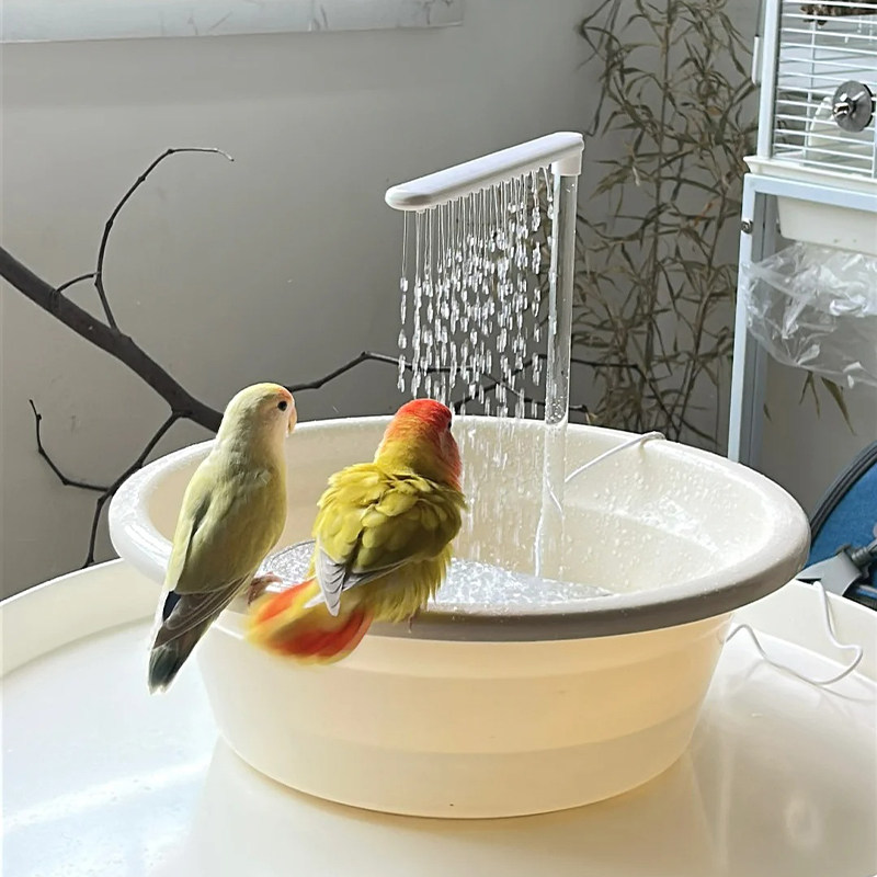 鹦鹉洗澡盆自动循环鹦鹉洗澡神器小鸟洗澡盆虎皮牡丹鸟用澡盆水泵,宠物/宠物食品及用品,鸟用洗澡盒/器,淘宝优惠券,粉丝福利购,淘宝优惠卷