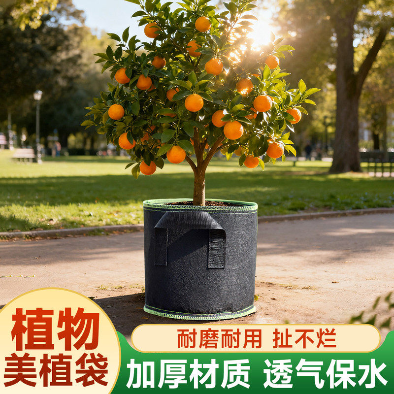 加厚无纺布美植袋阳台种菜专用种植袋黑色植树袋育苗袋家庭园艺盆