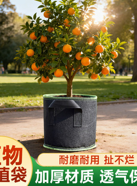 加厚无纺布美植袋阳台种菜专用种植袋黑色植树袋育苗袋家庭园艺盆
