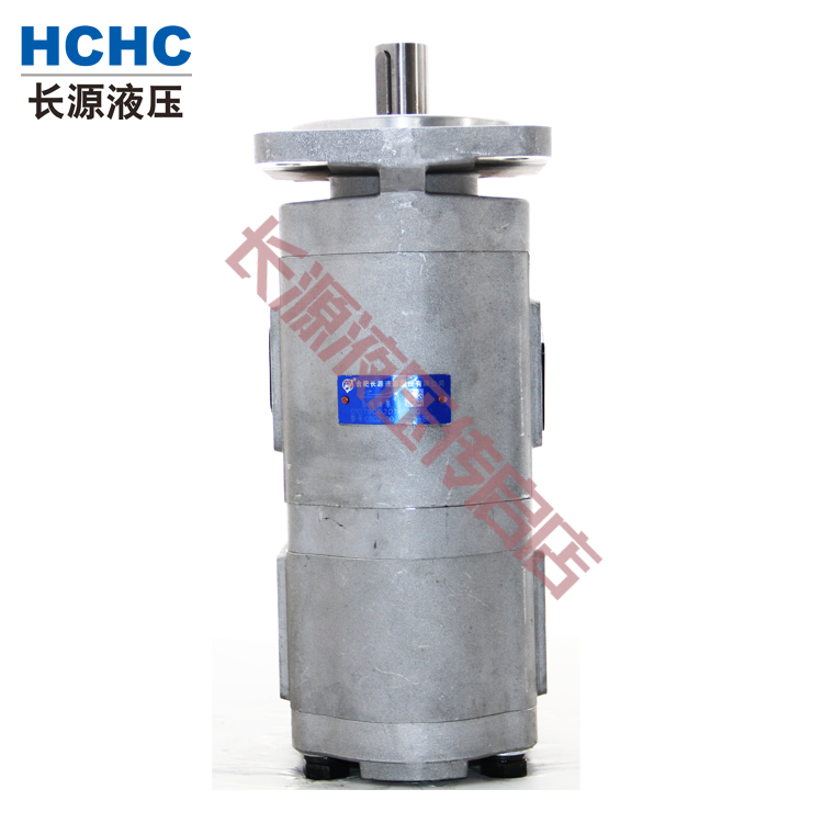 HCHC合肥长源液压齿轮油泵CBG2100/2025-BFP双联泵长源液压齿轮泵