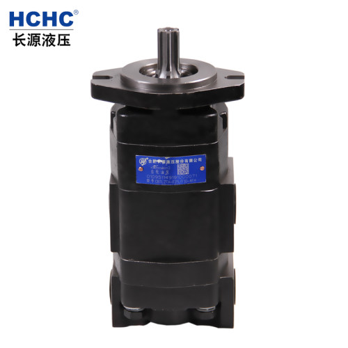 HCHC合肥长源液压齿轮油泵CBTLZTA铸铁双联泵 合肥长源液压齿轮泵