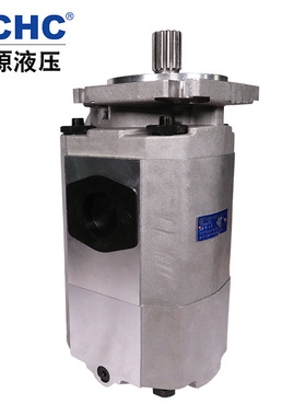 HCHC合肥长源液压齿轮油泵CBKP系列双联泵 合肥长源液压泵