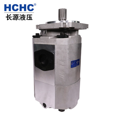 HCHC合肥长源液压齿轮油泵CBKP系列双联泵 合肥长源液压泵