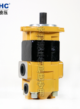 HCHC合肥长源液压齿轮油泵CBHYD-G36/F4.5-ATH双联齿轮泵液压泵