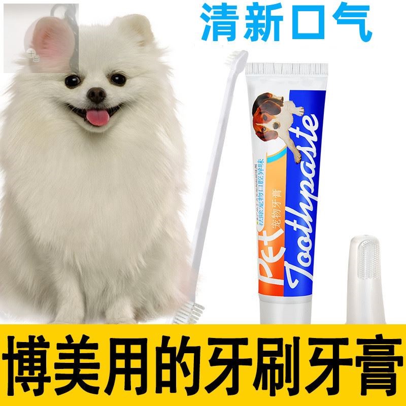 博美狗狗牙刷牙膏套装小型犬专用口腔臭清洁用品幼犬宠物刷牙神器 宠物/宠物食品及用品 猫狗牙膏/牙具 原图主图