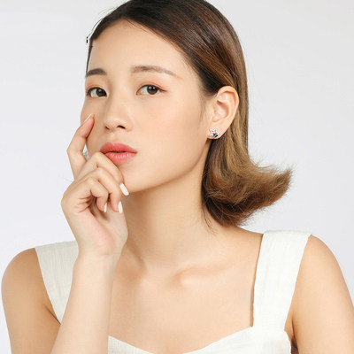 潮纯银网红感耳钉法式洛世奇高级新款采用耳饰女施华耳环元素星星