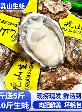 【净重10斤】乳山生蚝鲜活大号肉肥鲜美牡蛎海蛎子海鲜水产烧烤zb