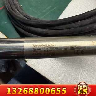 德国E 1l229 0库存两个 议价 H静压液位计FMX21