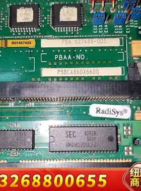 RADISYS PSBC486DX66，实物拍摄，串口处有生议价