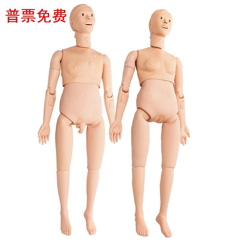 护理人模型多功能男女导尿创伤医