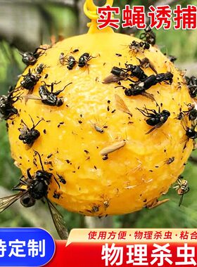 菜园除虫神器农用柑桔橙子绿色果实诱蝇球 苦瓜果树粘昆虫粘针蜂
