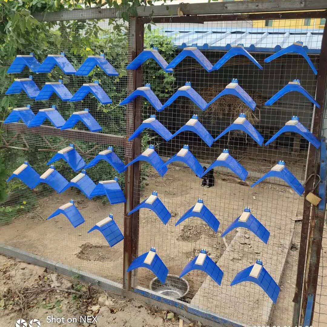 站架赛鸽支架塑料用品鸽子栖架鸽子息架实木信鸽用品脚环栖息用具