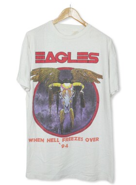 美式古着vintage Eagles老鹰乐队1994 Hell Freezes Over短袖T恤