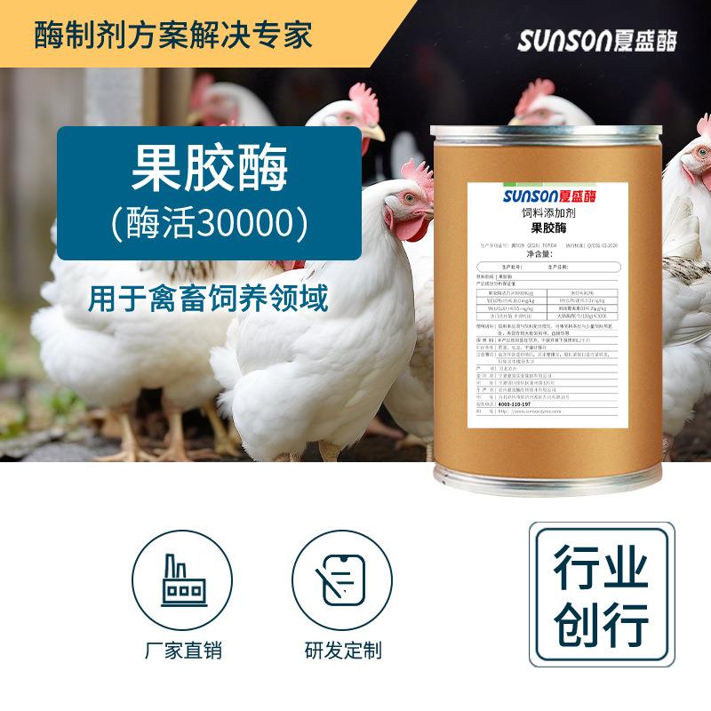 饲料级果胶酶30000u/g高酶活 动物养殖蛋白促消化吸收