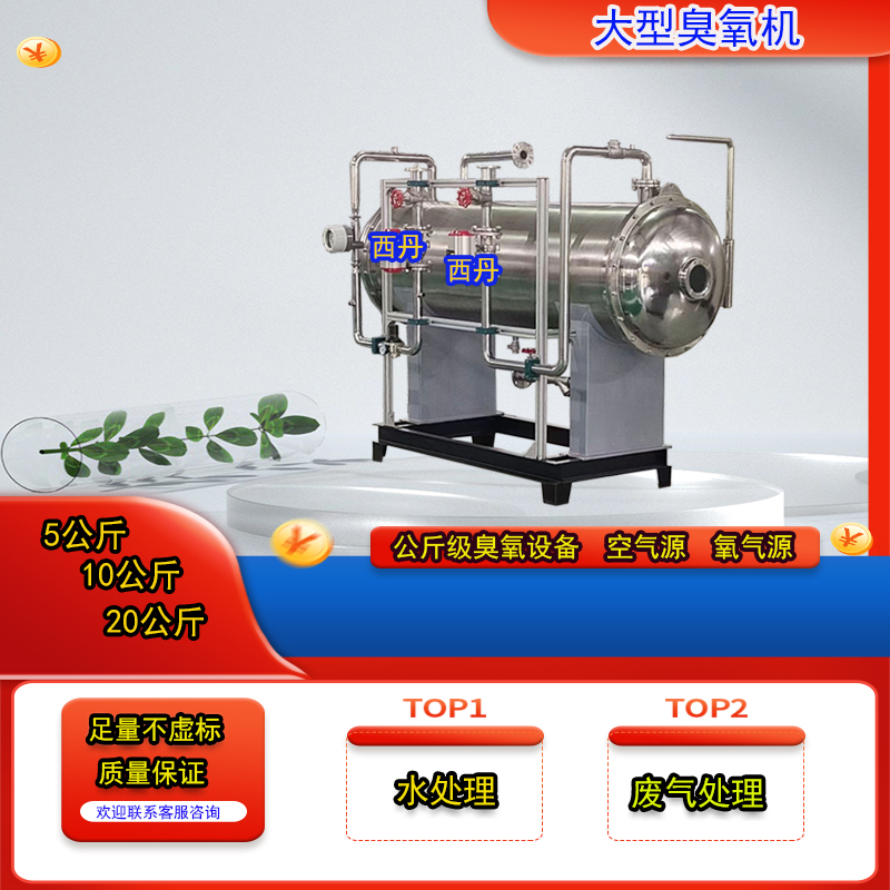 大型臭氧发生器工业臭氧机水处理脱色1G0公斤消毒设备20公斤臭氧