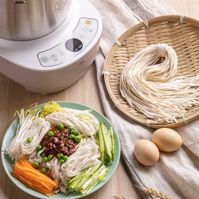 小熊和面机d家用小型全自动多功能揉面机发酵搅拌厨师机发面活面