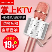 Jinyun micro âm thanh một thiết bị cầm tay ktv nhà di động TV phổ quát không dây karaoke Bluetooth trẻ em karaoke ngoài trời học tập bài hát tạo tác đi kèm với mic tụ âm thanh - TV