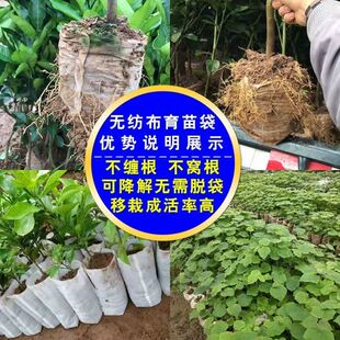 一次性育苗袋可降解种植袋无纺布轻基质营养杯苗圃容器杯果苗袋