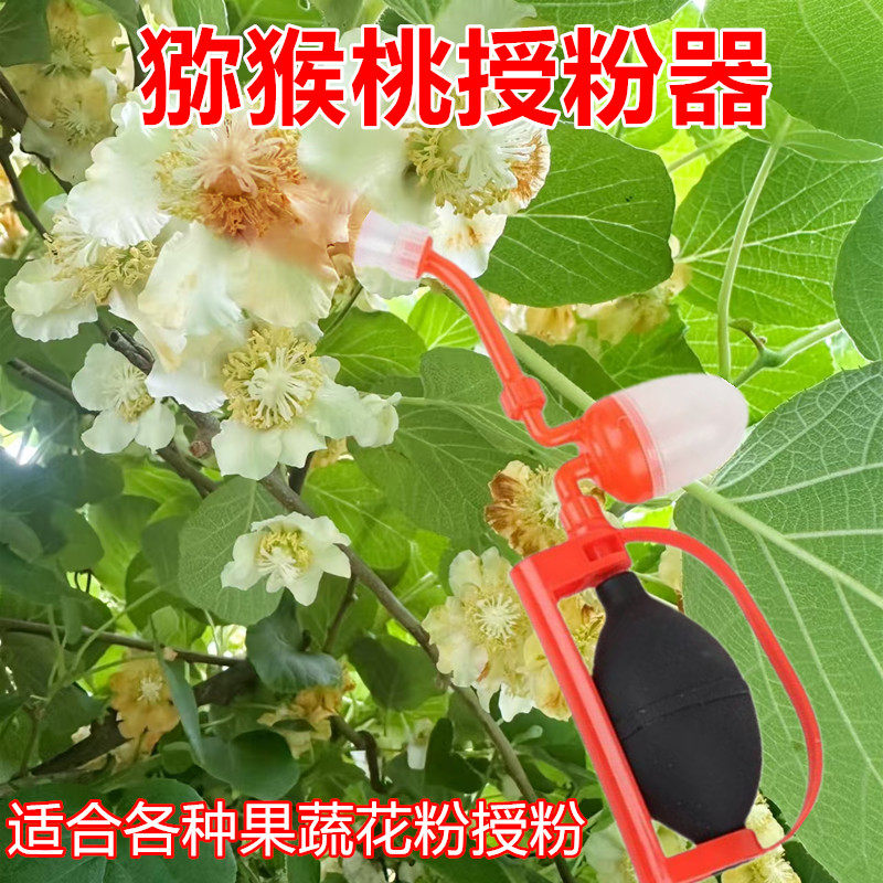 猕猴桃授粉器农用果树人工番茄西红柿西瓜授粉喷枪杆花粉点花神器
