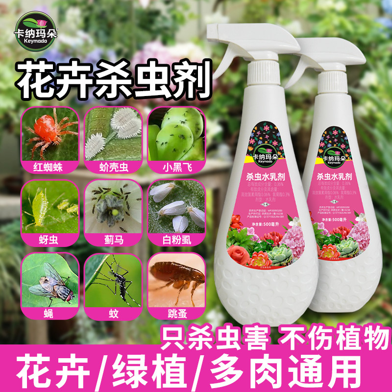 卡纳玛朵花卉杀虫剂植物室内蚜虫蚧壳虫小黑飞红蜘蛛通用杀虫药