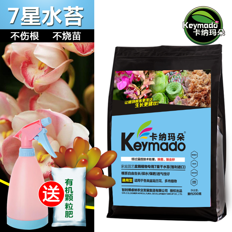 土苔藓价格 土苔藓图片 星期三