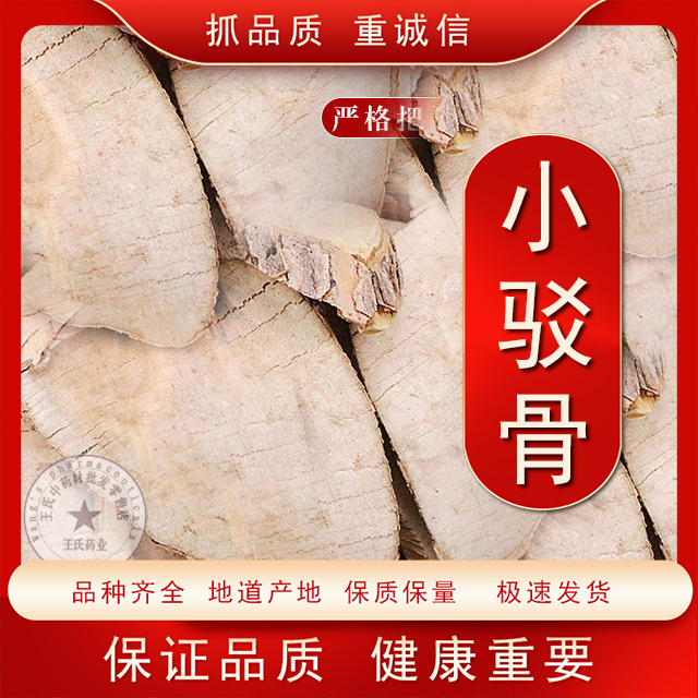 正品野生中药材小驳骨小接骨驳骨草驳骨丹
