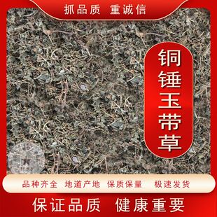 铜锤玉带草 中药材 铜锤玉带草 地茄子草 地浮萍 马莲草正品包邮