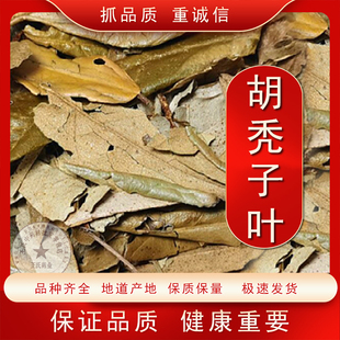 中药材 胡秃子叶 蒲颓叶 胡颓子叶 胡颓叶 野生