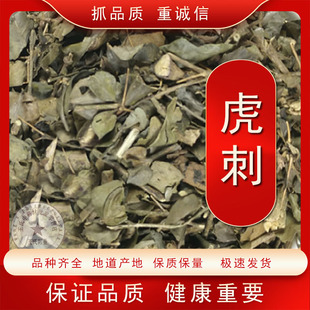 绣花针中草药伏牛花 虎刺 老鼠刺 寿星草包邮中药材大全店铺