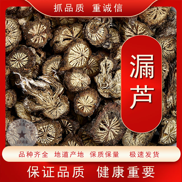 漏芦中药材店铺特级野生漏芦根野兰鬼油麻下奶通乳另售通草路路通
