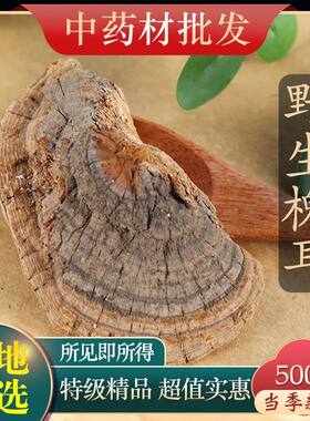 中药材店铺 槐耳 槐娥 槐檽 槐菌 槐赤鸡  实体店铺包邮