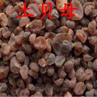 正品新货土贝母500克包邮干货中药材土贝地苦胆草贝无硫大贝母50g