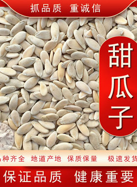 中药材甜瓜子甜瓜仁甜瓜籽甜瓜子粉香瓜种子另有黄瓜籽包邮