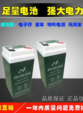 大红色鹰通用电子秤台秤永祥重磅称4V4.5A童车6V雅尔蓄电池可充电