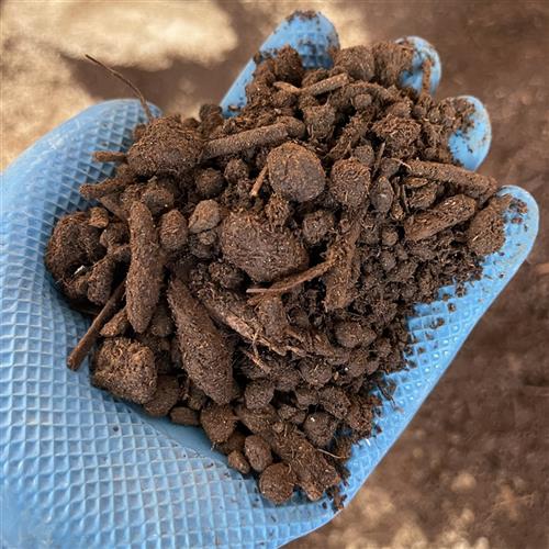 羊粪大颗粒含杂质 腐熟度不均匀 地栽用 残次品